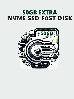 50GB extra NVMe SSD Disk Fast