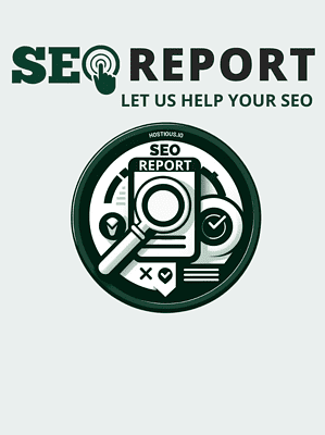 SEO-analysis-by-hostious-experts