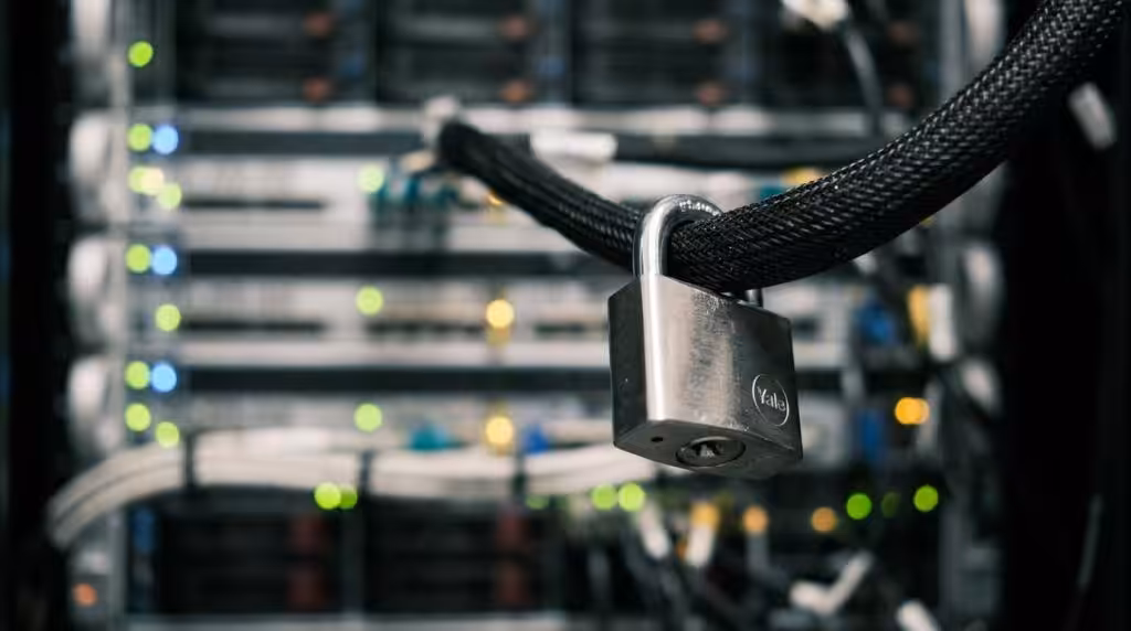 7 tegn på at du er vokset fra billig hosting