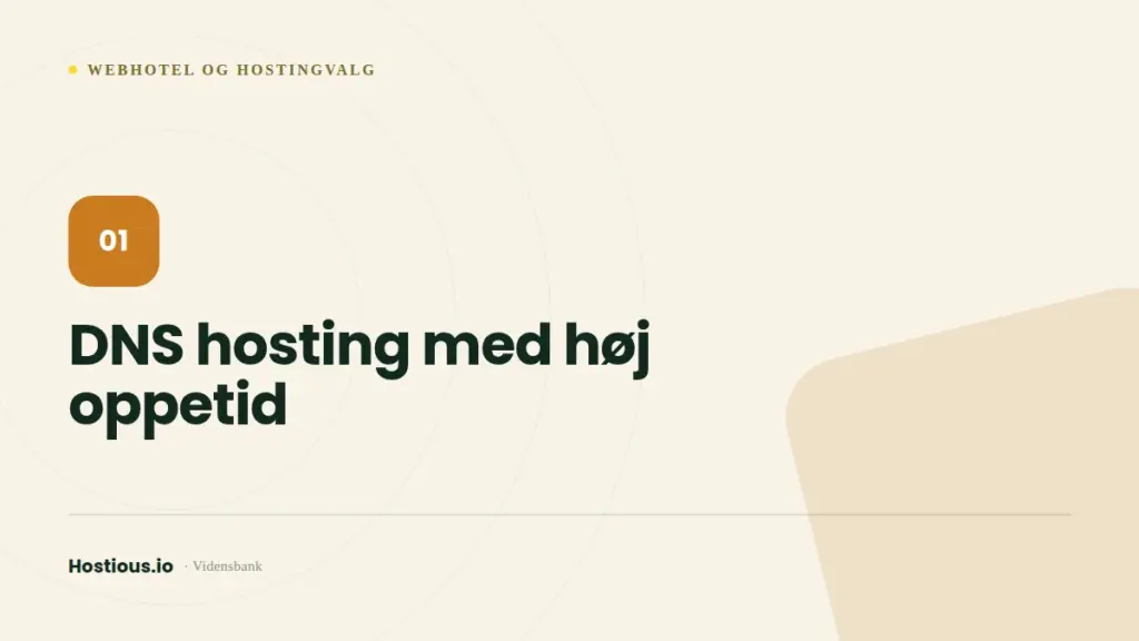 DNS hosting med høj oppetid DNS hosting med høj oppetid
