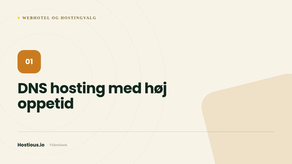 DNS hosting med høj oppetid