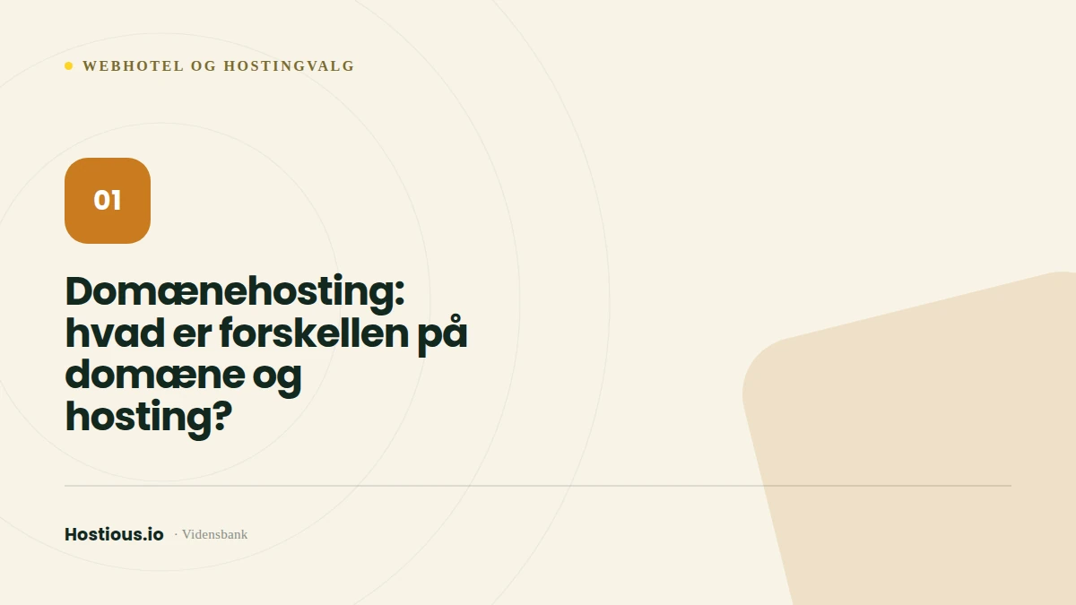 Domænehosting: hvad er forskellen på domæne og hosting?