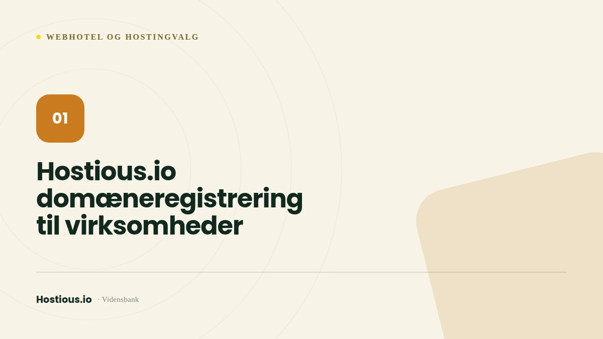 Domæneregistrering til virksomheder: ejerskab og drift