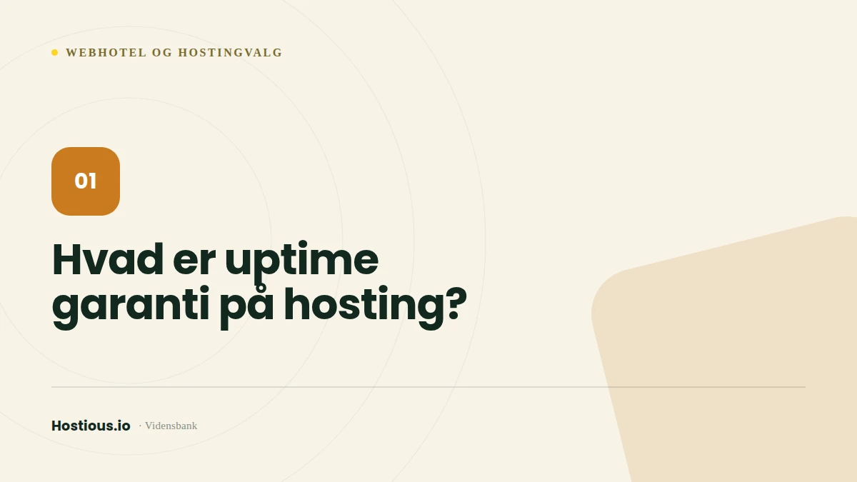 Hvad er uptime garanti på hosting?