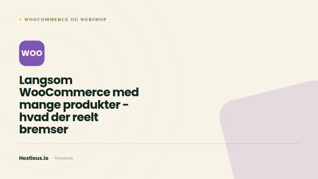 Langsom WooCommerce med mange produkter — hvad der reelt bremser Langsom WooCommerce med mange produkter — hvad der reelt bremser