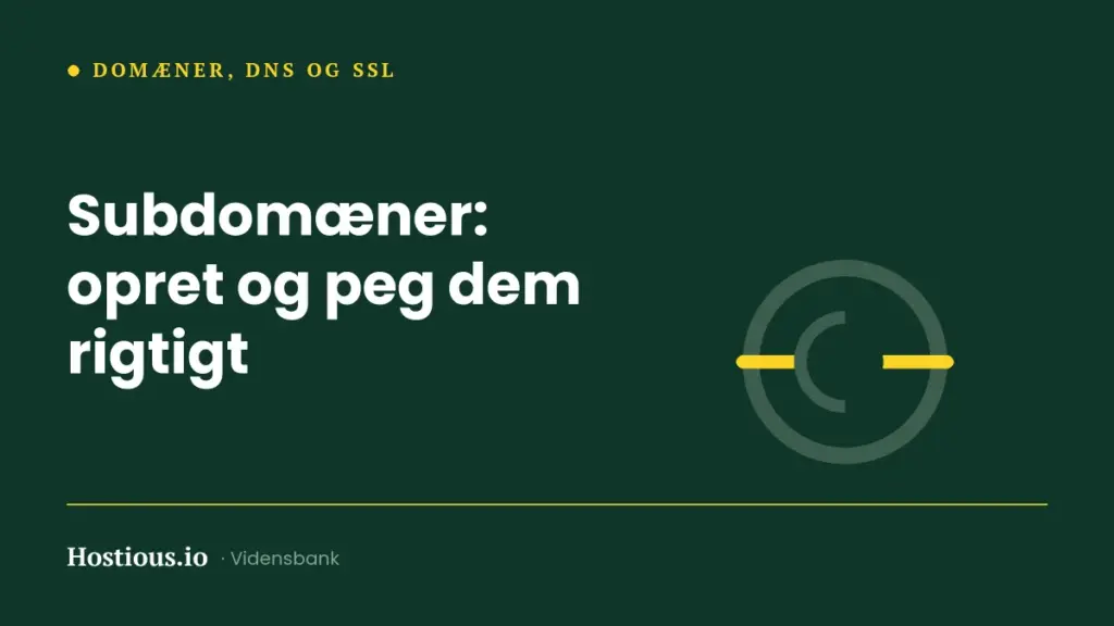 Subdomæner: opret og peg dem rigtigt Subdomæner: opret og peg dem rigtigt