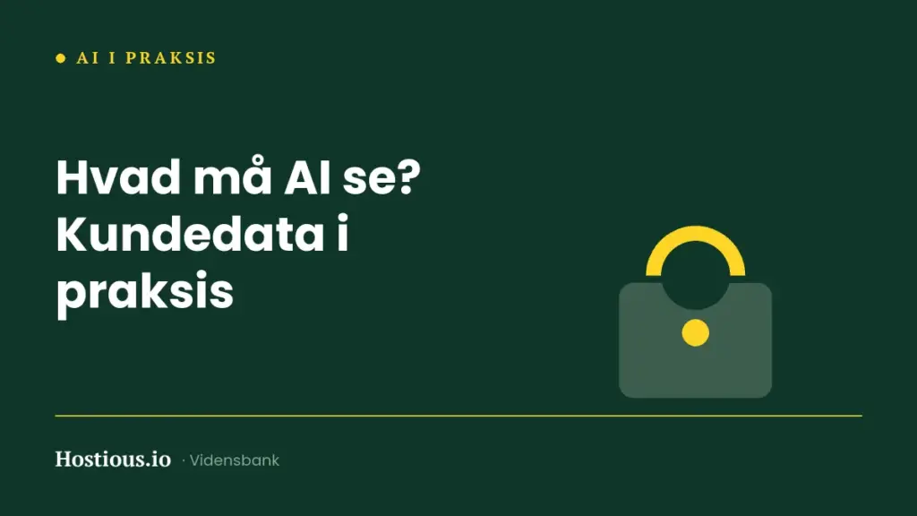 AI og kundedata: hvad må du sende til modellerne? AI og kundedata: hvad må du sende til modellerne?