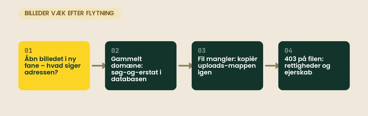 Billeder vises ikke efter en flytning — sådan finder du dem igen Billeder vises ikke efter flytning af WordPress: tjek adressen, søg-og-erstat domænet, kopiér uploads-mappen, og ret rettigheder ved 403