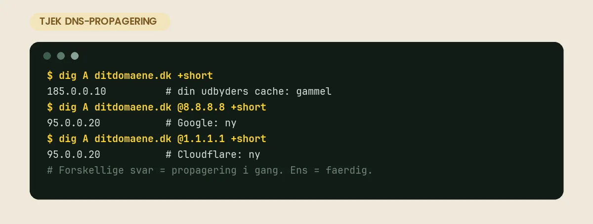 Tjek DNS-propagering med dig mod din egen udbyder, Google 8.8.8.8 og Cloudflare 1.1.1.1 – forskellige svar betyder, at ændringen stadig spreder sig