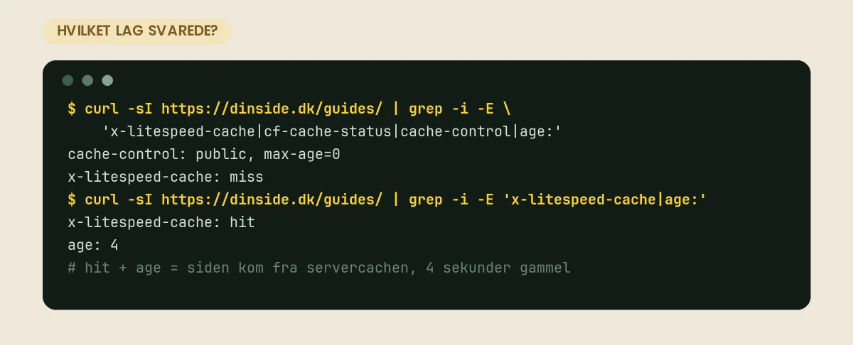 curl -I viser cache-headere: x-litespeed-cache skifter fra miss til hit, og age viser, hvor gammel den cachede kopi er