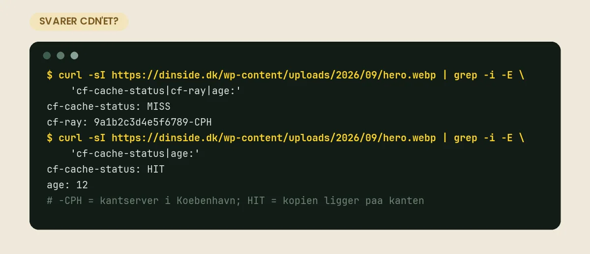 Hvad er et CDN? Kantservere og cache forklaret curl -I mod et billede viser cf-cache-status MISS og derefter HIT, og cf-ray ender på CPH – kantserveren i København svarede