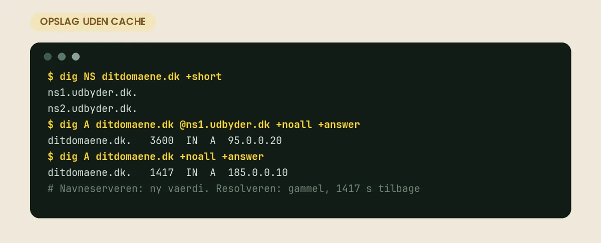dig mod navneserveren viser den nye A-post med fuld TTL, mens resolveren stadig svarer med den gamle og en TTL, der tæller ned