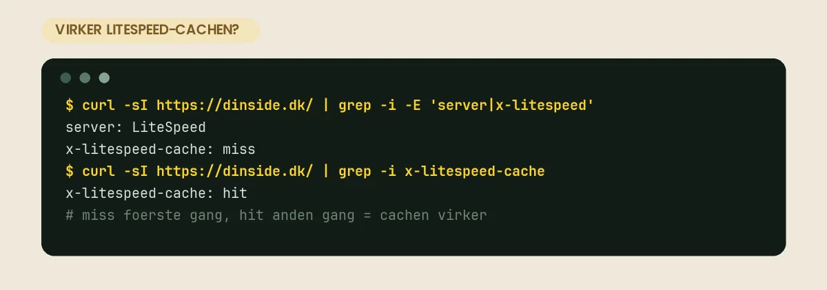 curl -I viser server: LiteSpeed og x-litespeed-cache, der skifter fra miss til hit – beviset for, at servercachen virker