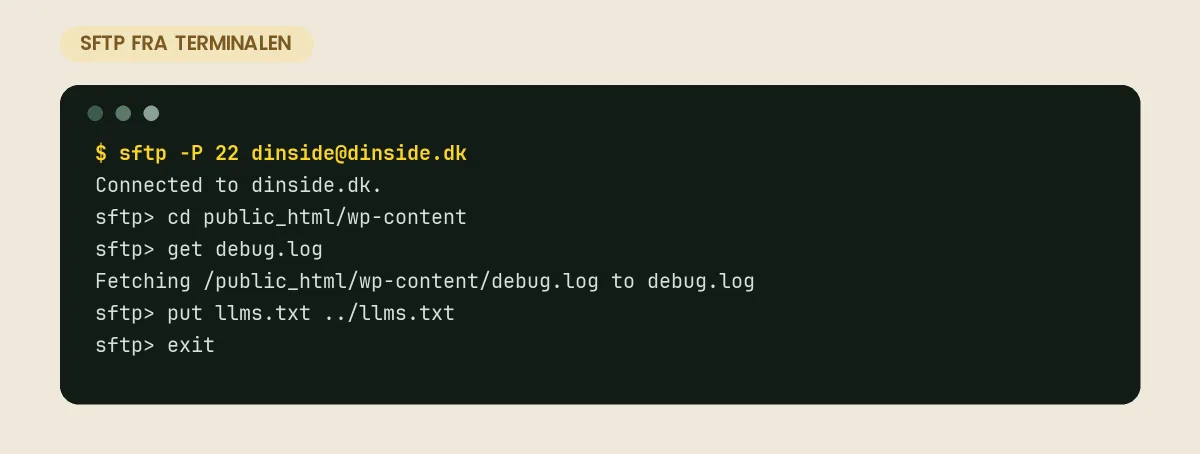 SFTP fra terminalen: forbind på port 22, skift til wp-content, hent debug.log og upload llms.txt