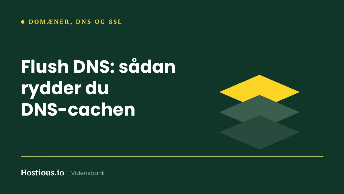 Flush DNS: sådan rydder du DNS-cachen på Windows, Mac og mobil