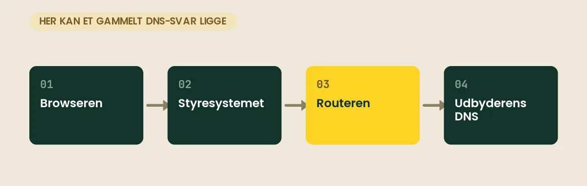 De fire steder, et gammelt DNS-svar kan ligge gemt: browseren, styresystemet, routeren og internetudbyderen
