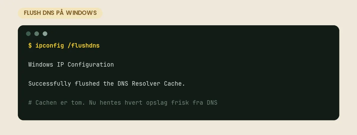Kommandoprompt i Windows, hvor kommandoen ipconfig /flushdns kvitterer med beskeden Successfully flushed the DNS Resolver Cache