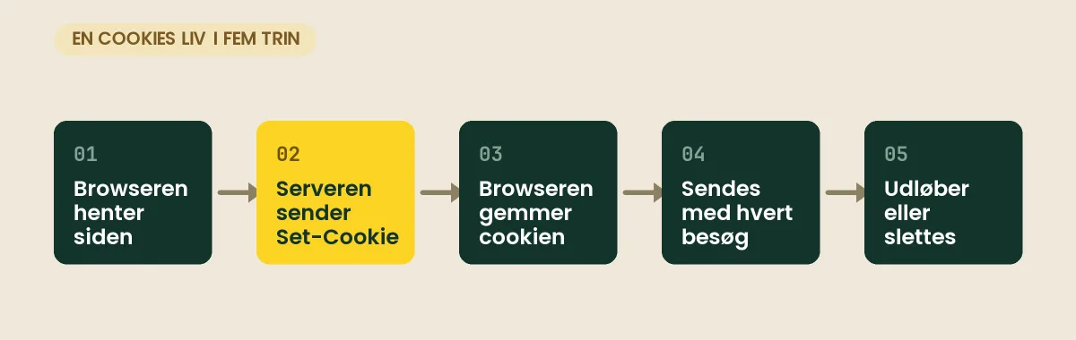 Hvad er cookies? Sådan virker cookies på en hjemmeside – og hvad de betyder for dig Fem trin i en cookies liv: browseren henter siden, serveren svarer med en Set-Cookie-header, browseren gemmer cookien, sender den med ved hvert nyt besøg, og den slettes ved udløb eller manuelt