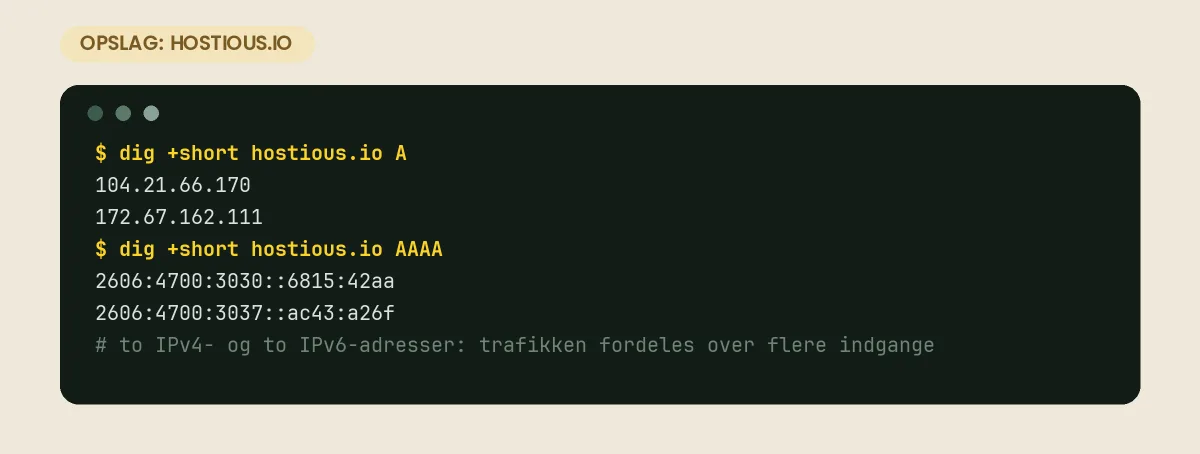 Terminaloutput fra kommandoen dig +short hostious.io, der viser to IPv4-adresser og to IPv6-adresser