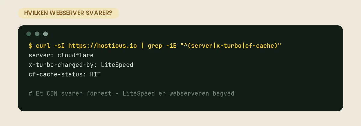 Terminal, hvor curl viser svarhovederne server: cloudflare og x-turbo-charged-by: LiteSpeed fra hostious.io