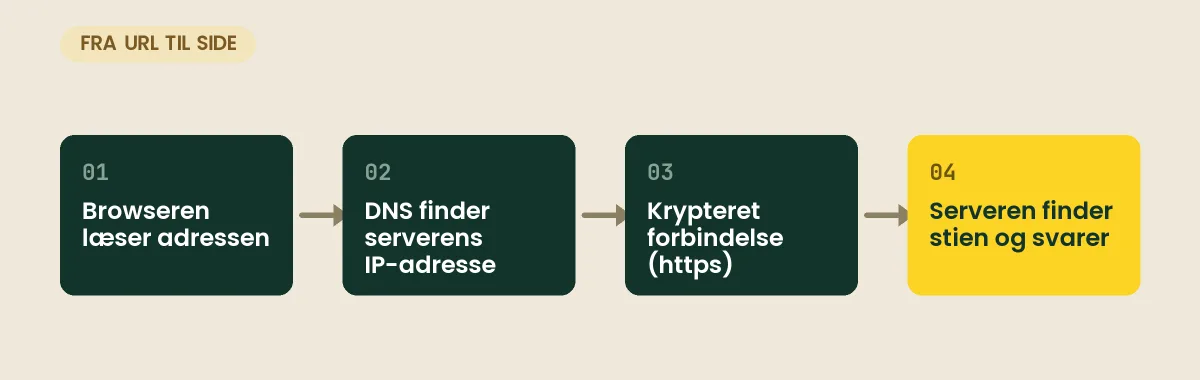 Fire trin fra URL til side: browseren læser adressen og finder domænet, DNS oversætter domænet til serverens IP-adresse, browseren åbner en krypteret forbindelse med https, og serveren finder stien og sender siden tilbage