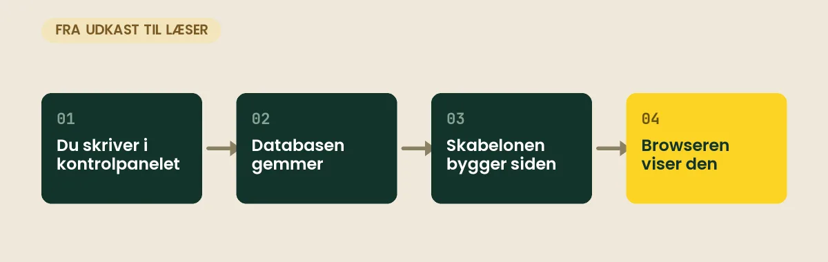 Fire trin fra udkast til læser: du skriver i kontrolpanelet, databasen gemmer, skabelonen bygger siden, og browseren viser den
