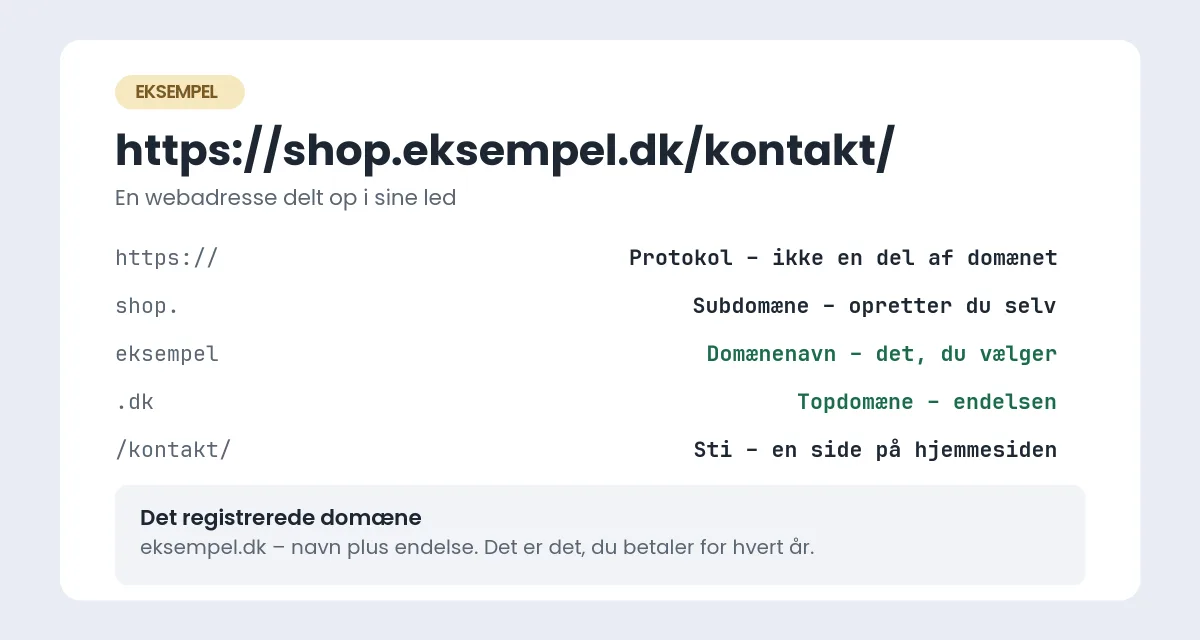 Adressen https://shop.eksempel.dk/kontakt/ delt op i protokol, subdomæne, domænenavn, topdomæne og sti, hvor det registrerede domæne er eksempel.dk