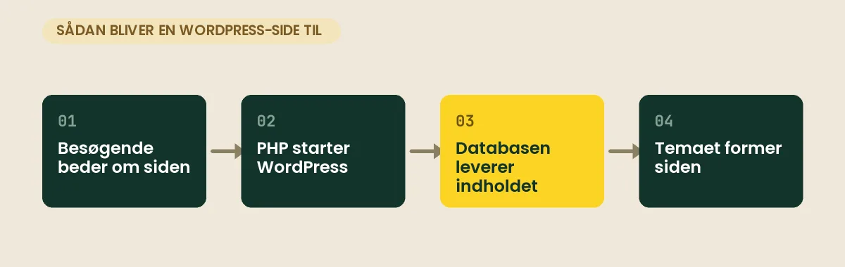 Fire trin: en besøgende beder om en side, PHP starter WordPress, databasen leverer indholdet, og temaet former den færdige side